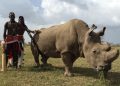 Rhino Cup Cricket Tournament at Ol Pejeta Conservancy June 21-23